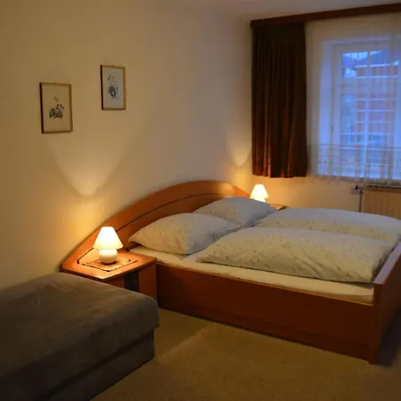 Mooslechner 公寓 *